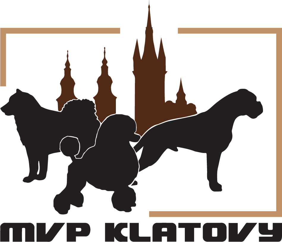 MVP Klatovy